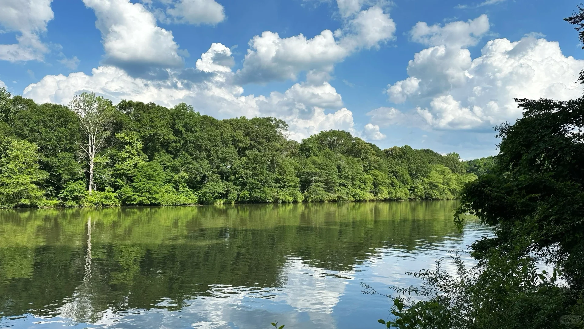 "Let's Take a Stroll Together at Roswell Riverwalk in Atlanta ❣️"