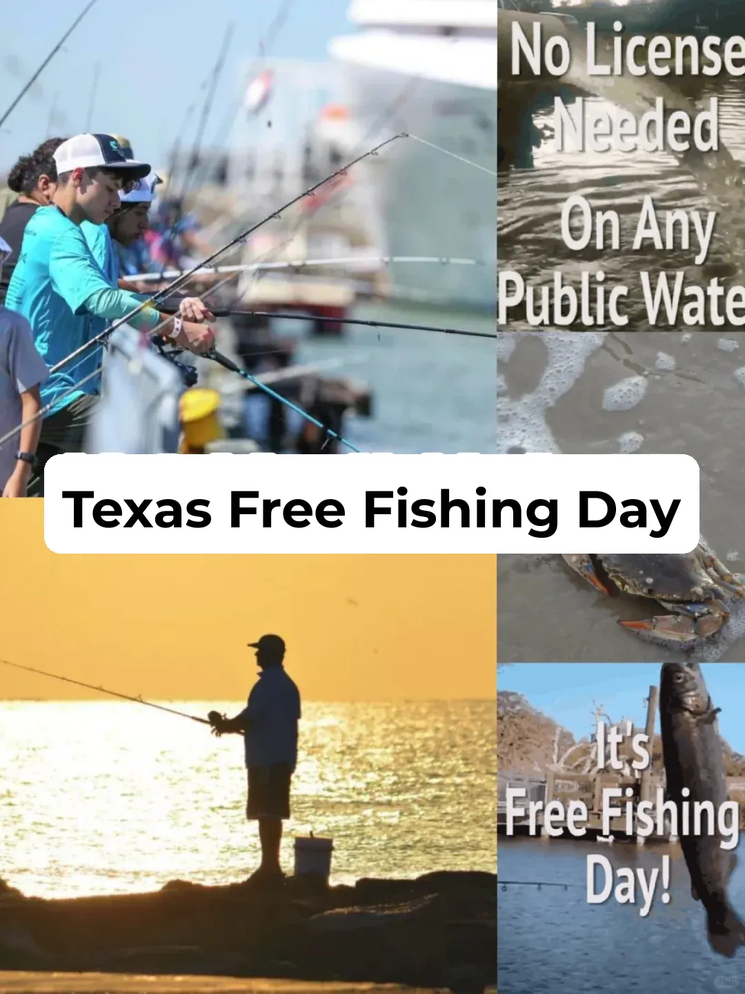 Free Fishing This Weekend – No License Required 🎣️