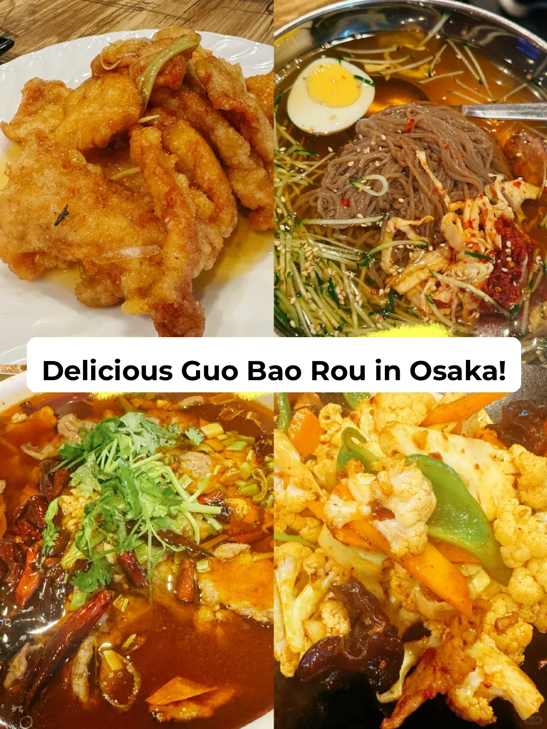 Osaka's Super Delicious Guobaorou! Can't Wait to Go Back for More!