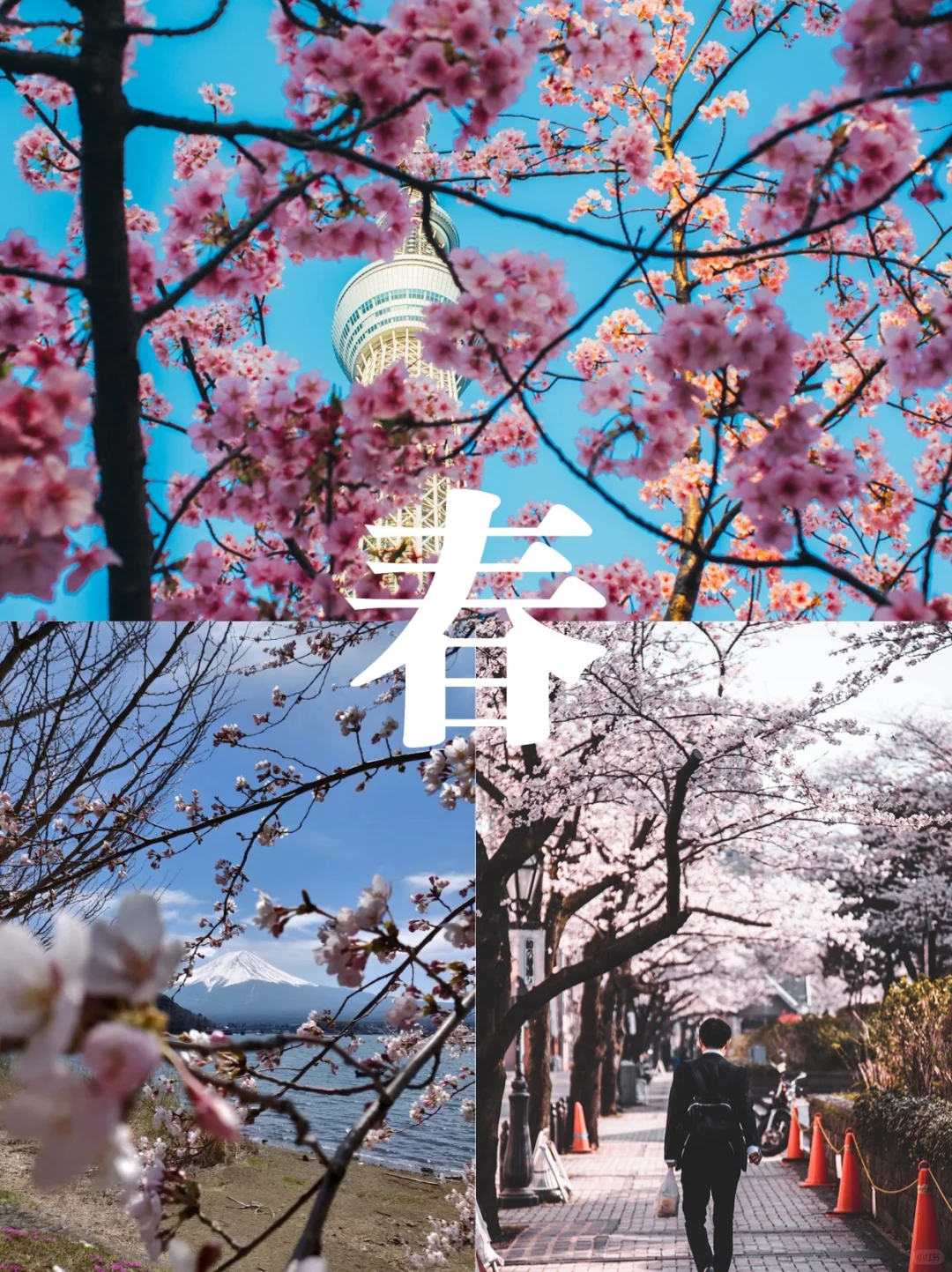 📒 Japan Year-Round Travel Guide