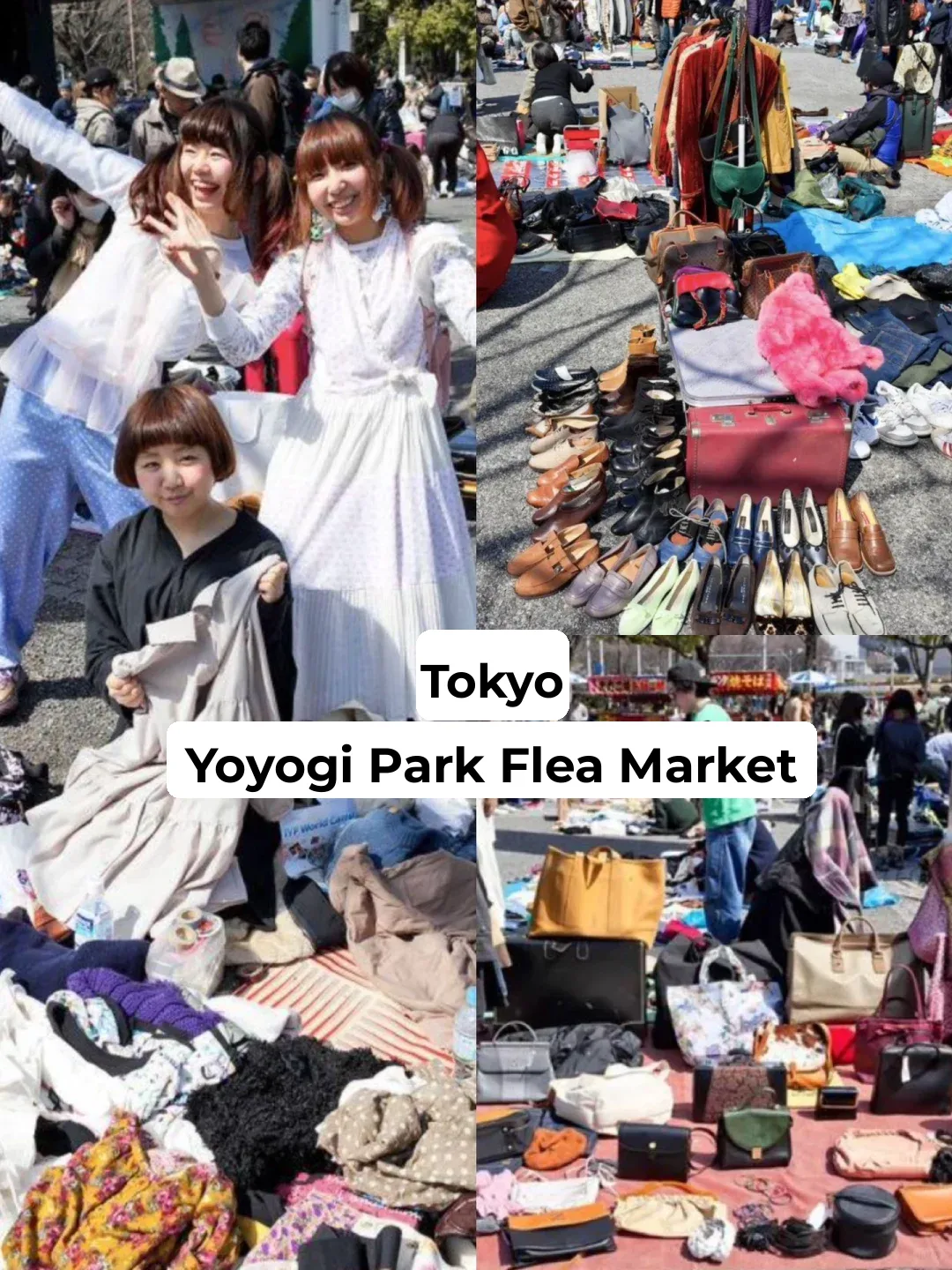 These Flea Markets in Japan Are So Addictive, You Won't Want to Leave 🤪 Bargain Hunting for Bags and Cameras