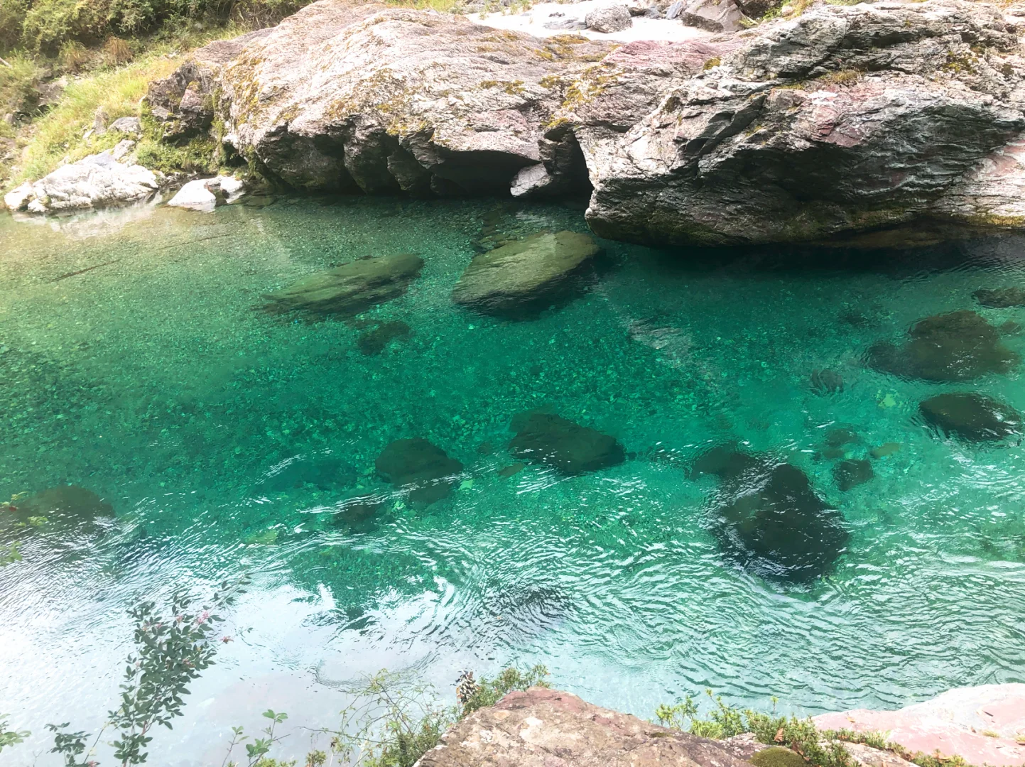 2 Days 1 Night Camping in Nara, Japan ❤️