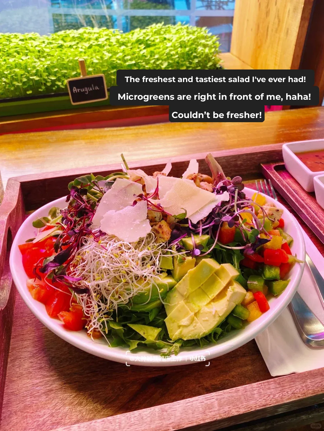 Portland’s Unique Restaurant‼️ The Veggies in Your Bowl Are Grown Right Before Your Eyes 😍