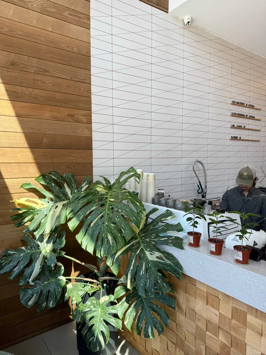 Houston Foodie Guide 😋 + Daily Life Snaps