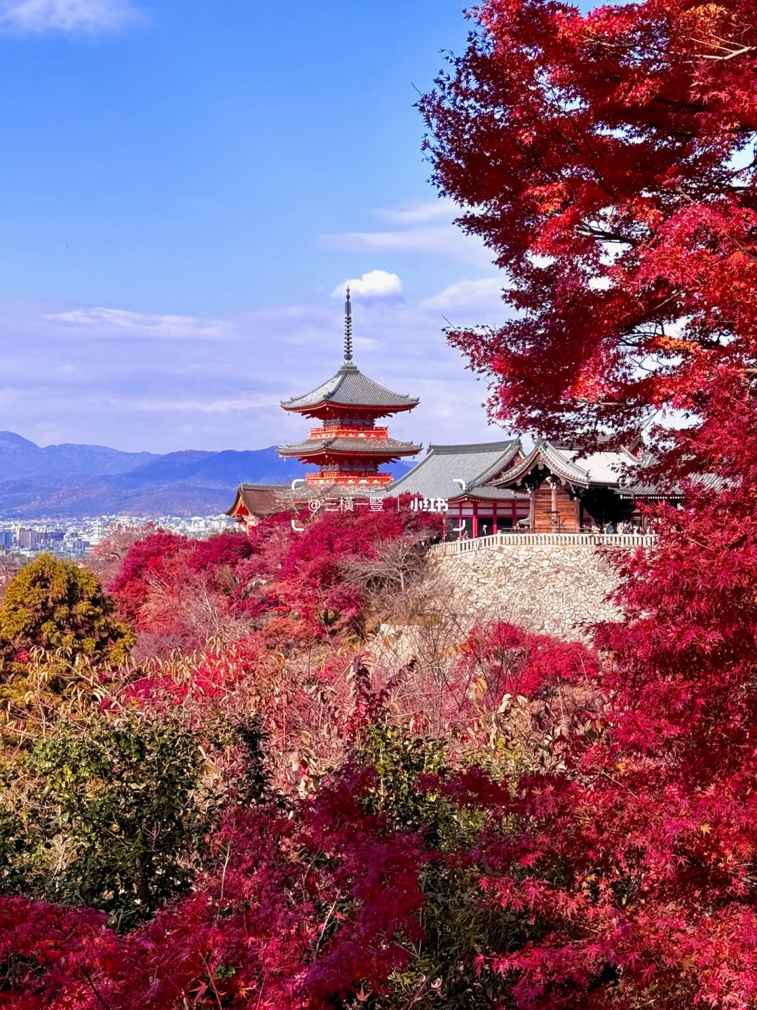 🇯🇵 Kyoto November Maple Season One-Day Trip ❸ Kiyomizu-dera Area