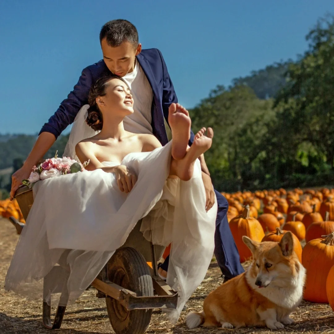 Where to Celebrate Halloween? Let's Hit Up the Bay Area Pumpkin Patch!