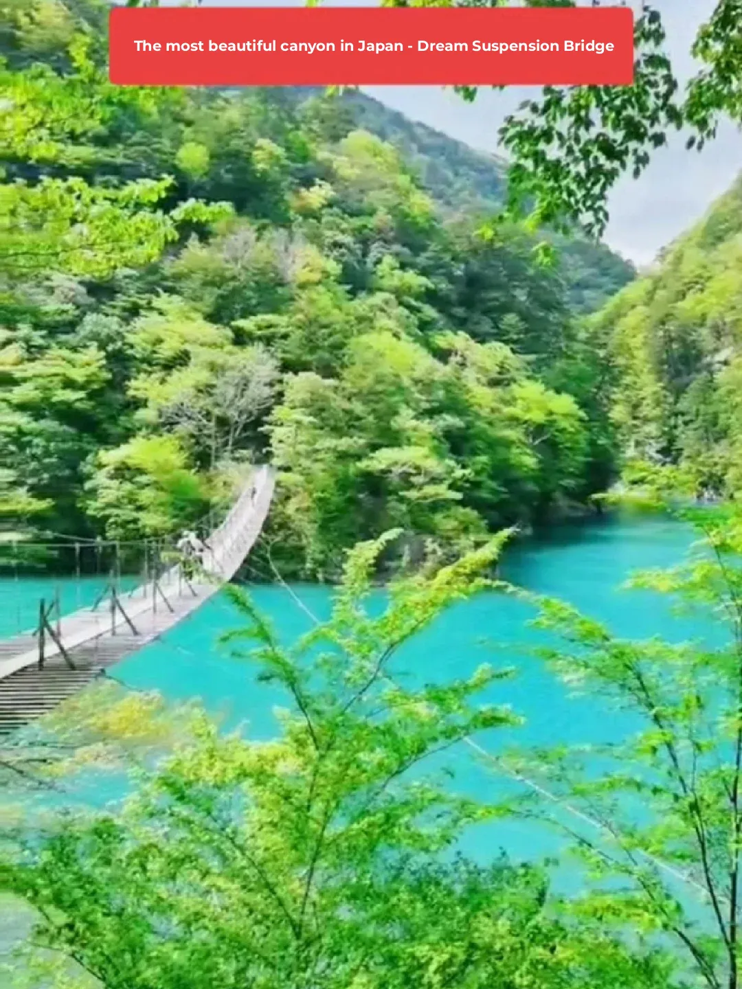 🚌9.15 Departure from Tokyo - Japan's Most Scenic Canyon, Dreamy Suspension Bridge