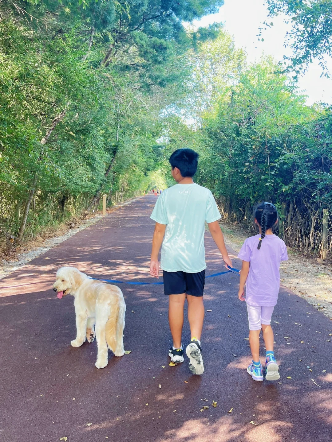 Atlanta | A New, Easy Hiking Spot for Everyone