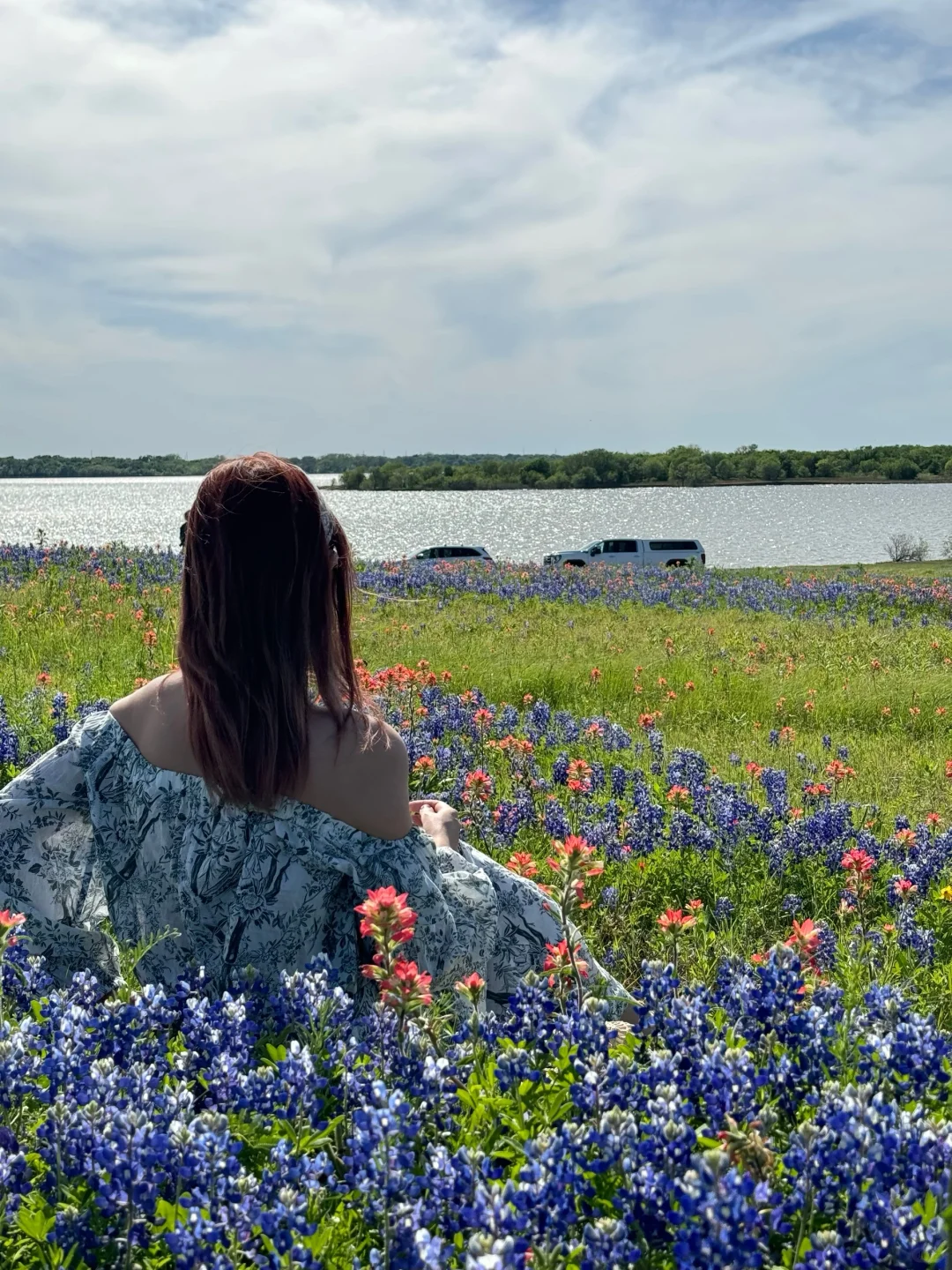 Best Weekend Spots in Dallas to See Bluebonnets in Bloom