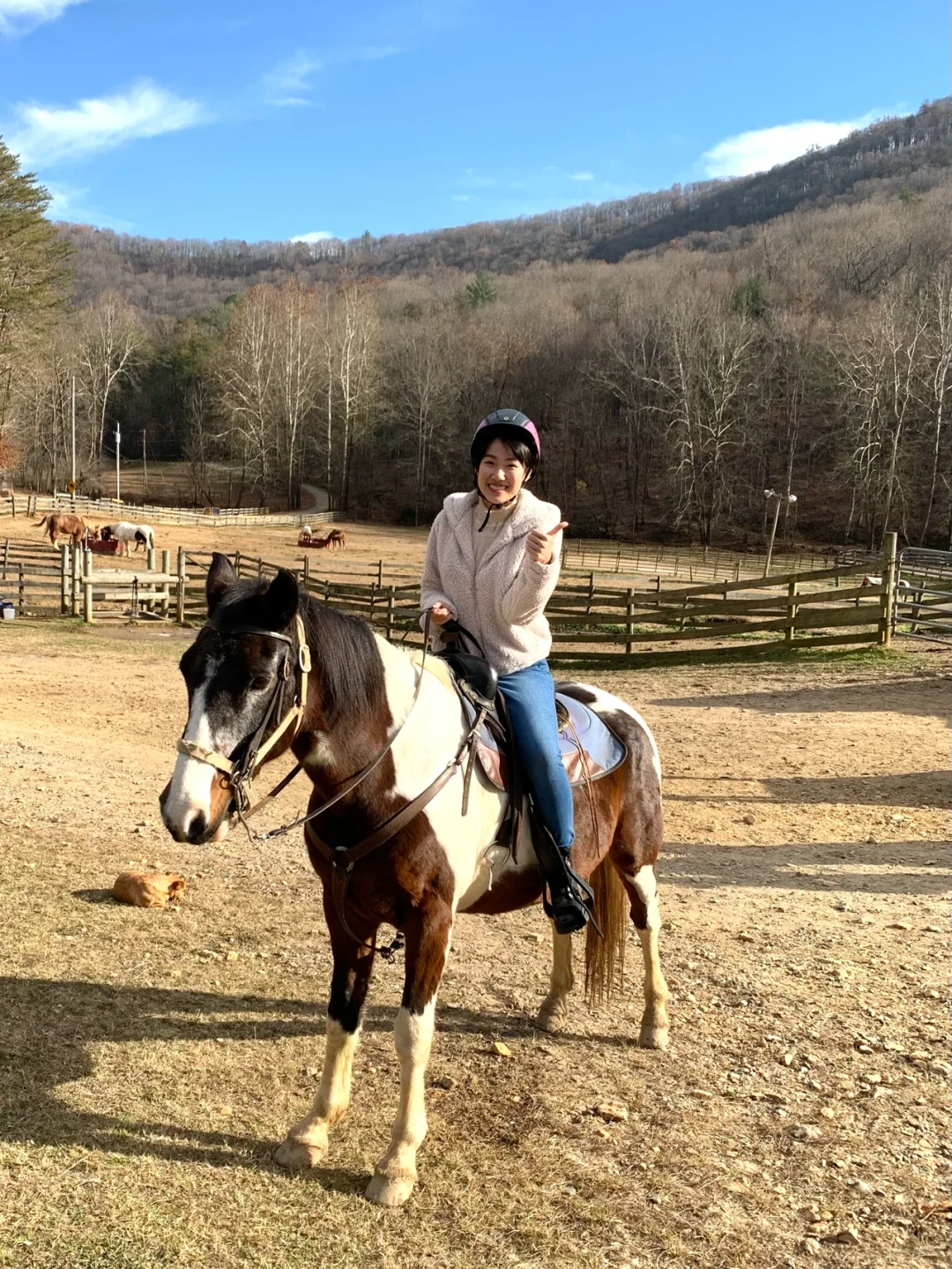 Exploring Atlanta's Surroundings | 💯 Galloping Through Life's Splendor on Horseback 🐎