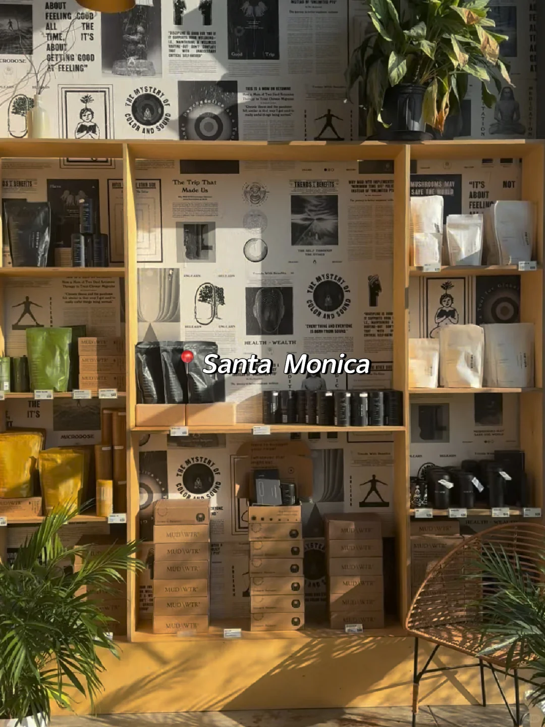 Santa Monica | 🍄‍🟫 A Coffee Shop That Doesn’t Sell Coffee 🧘‍♀️