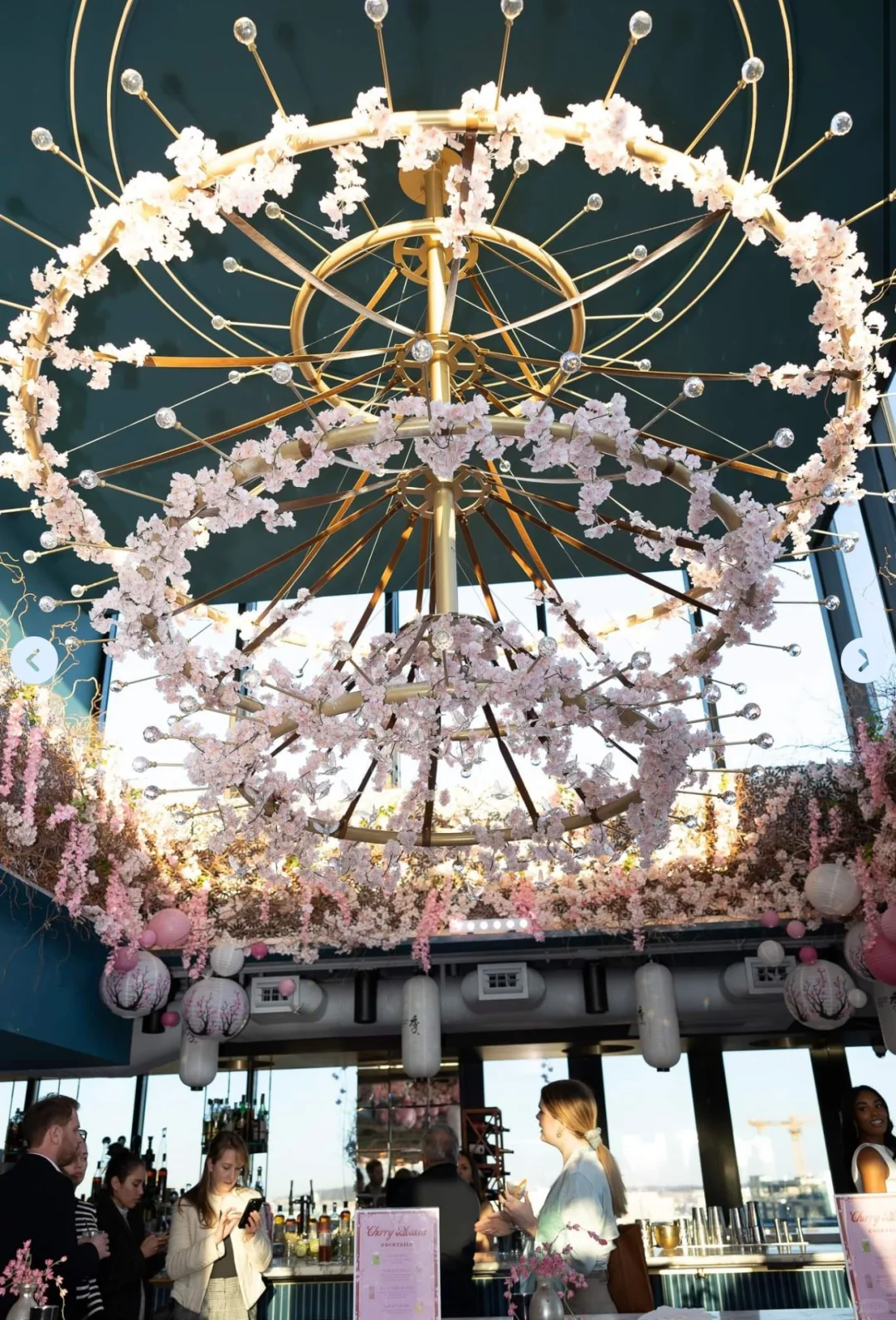 🌸2024 Cherry Blossom Extravaganza | Ultimate Food Guide for Washington D.C.'s Cherry Blossom Festival☝️