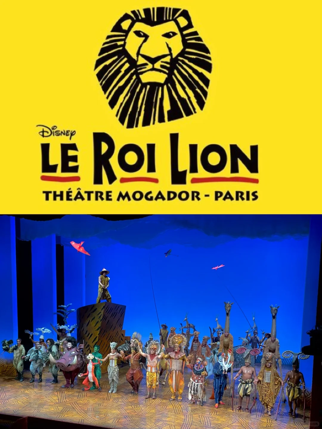 Still haven't caught The Lion King at the theater in Paris?