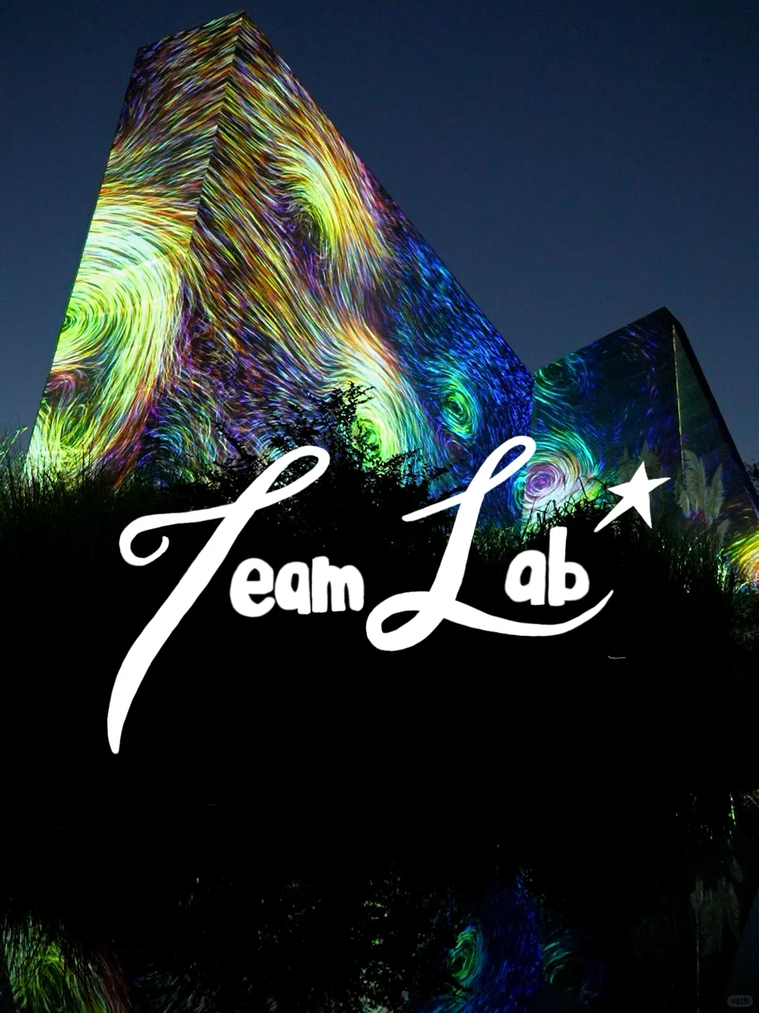 Osaka Art Exhibition｜Outdoor Botanical Garden Transforms into a Nighttime Art Feast 🎆