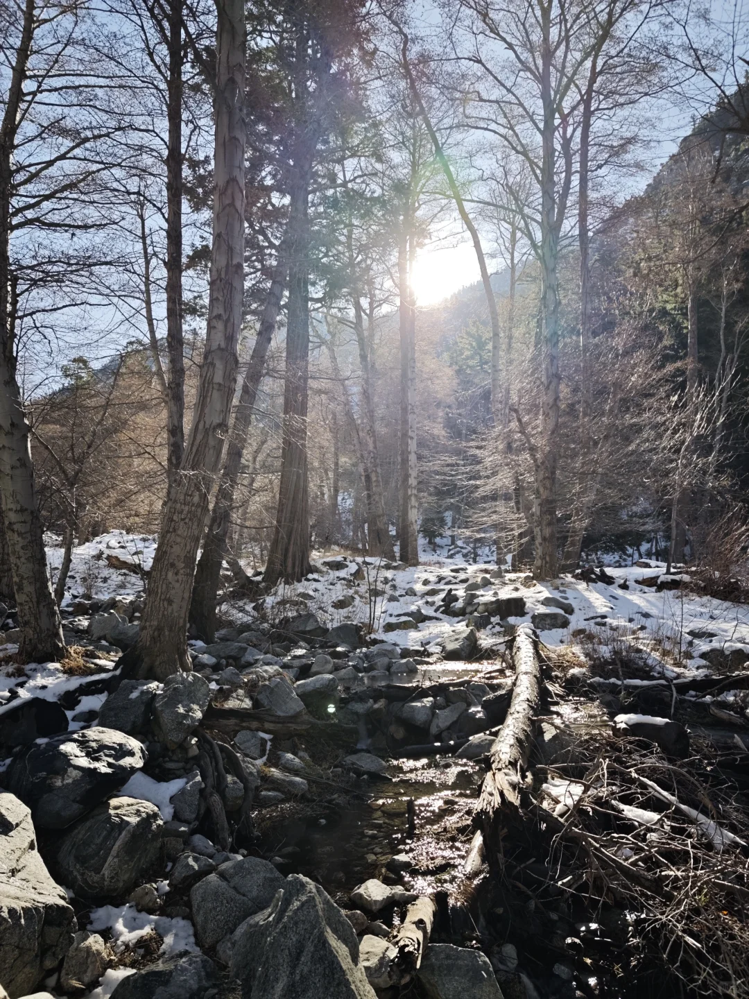 Treading Through the Snow in Los Angeles