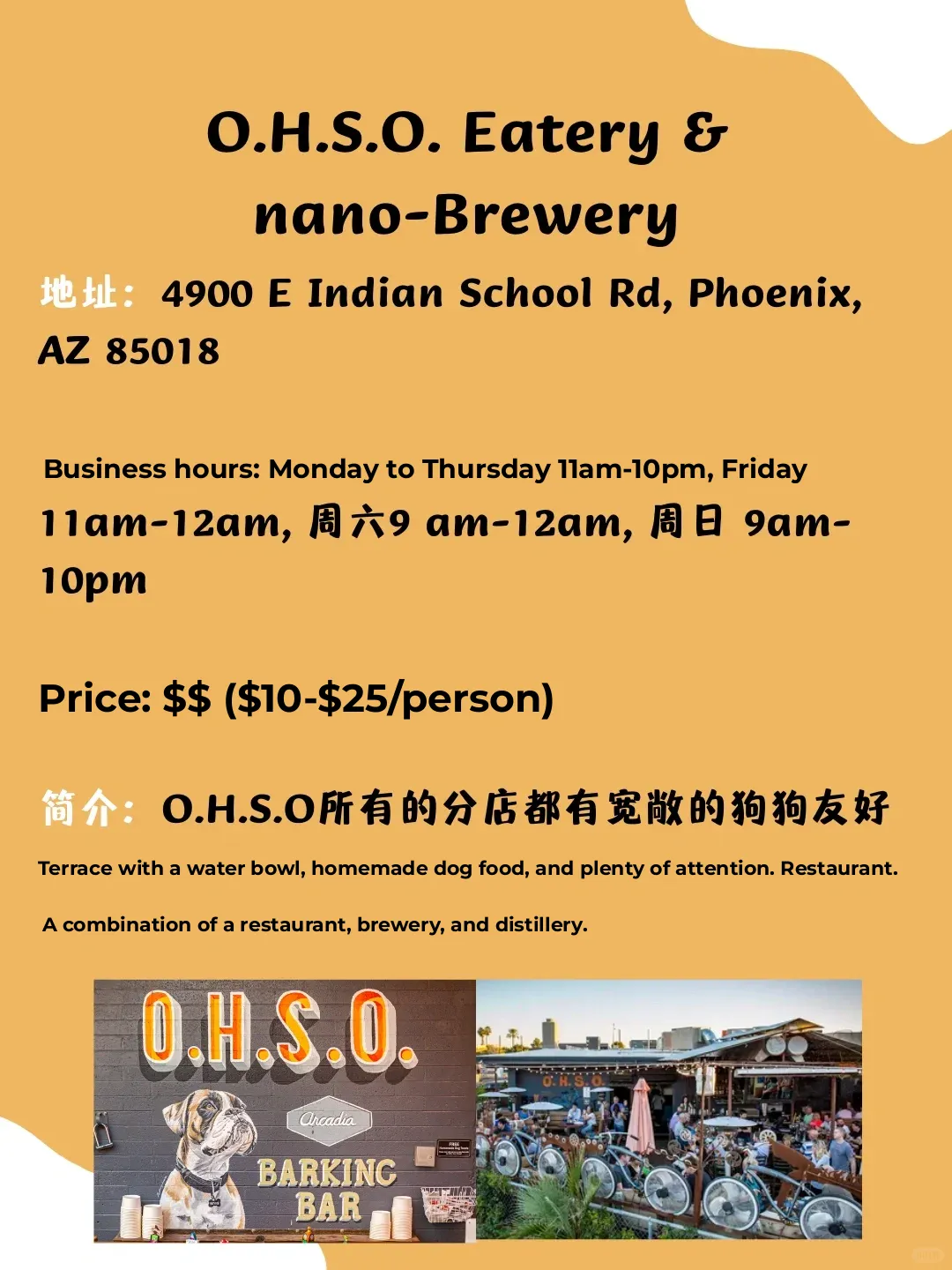 **Phoenix Dog-Friendly Restaurants 🐶 | Enjoy Delicious Meals with the Whole Family!**