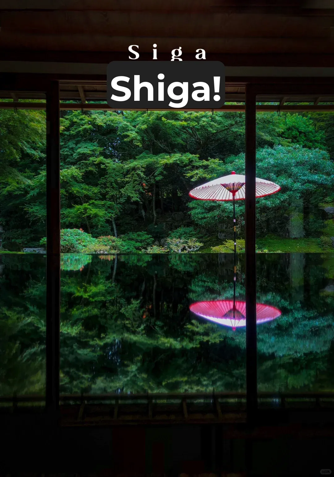 Exploring Japan 🇯🇵 | Don't Just Stick to Rurikoin Temple