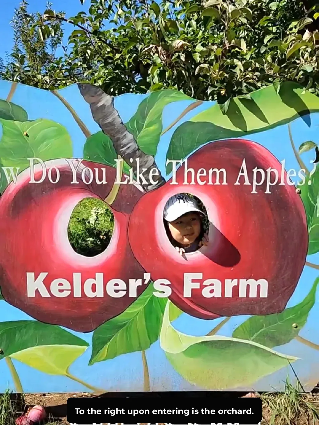 Best Farm for Kids in Upstate New York - Strawberry Picking Opens This Week! ‼️