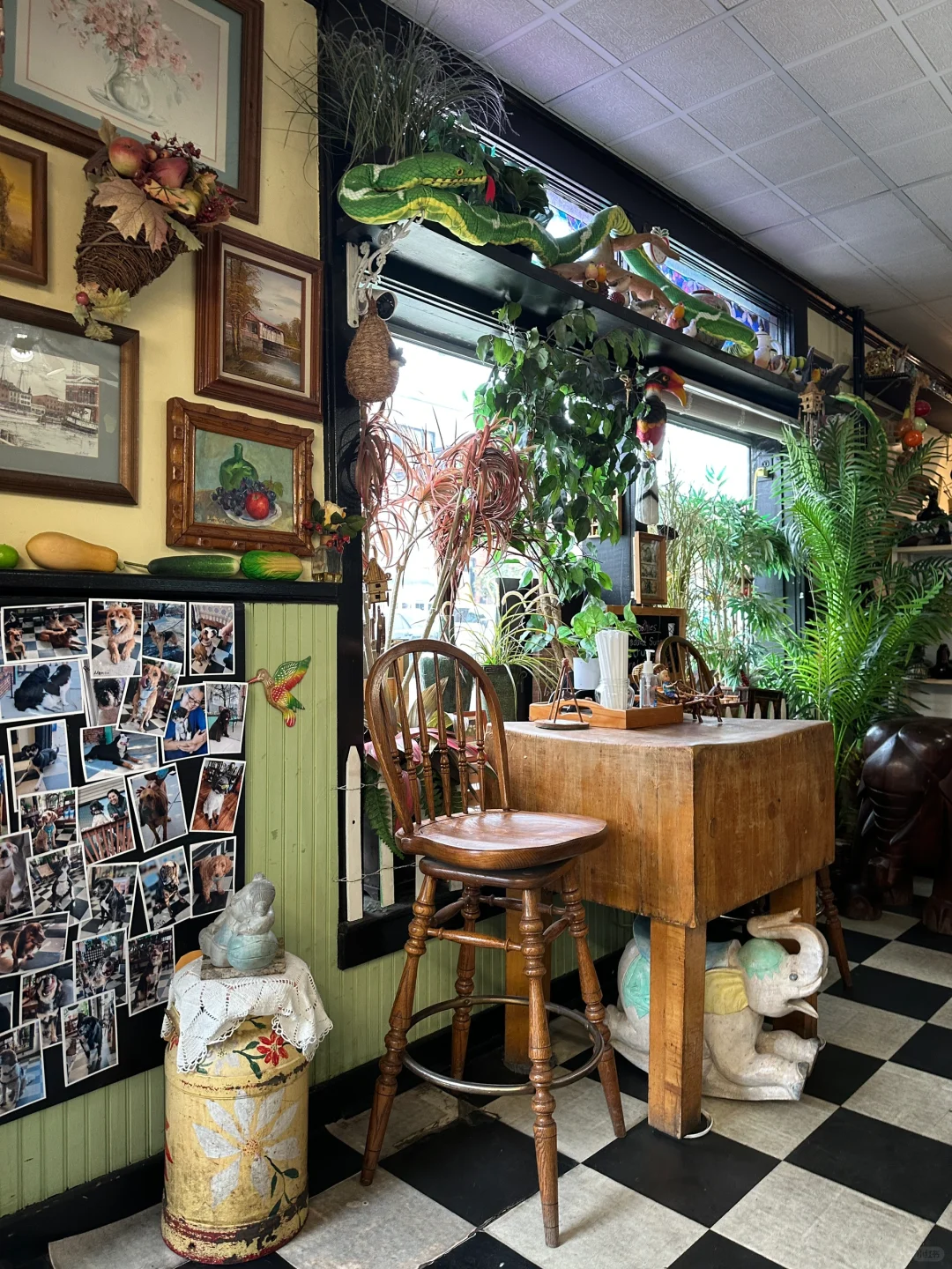 Baltimore Juice Shop🍹Corner Juice Bar