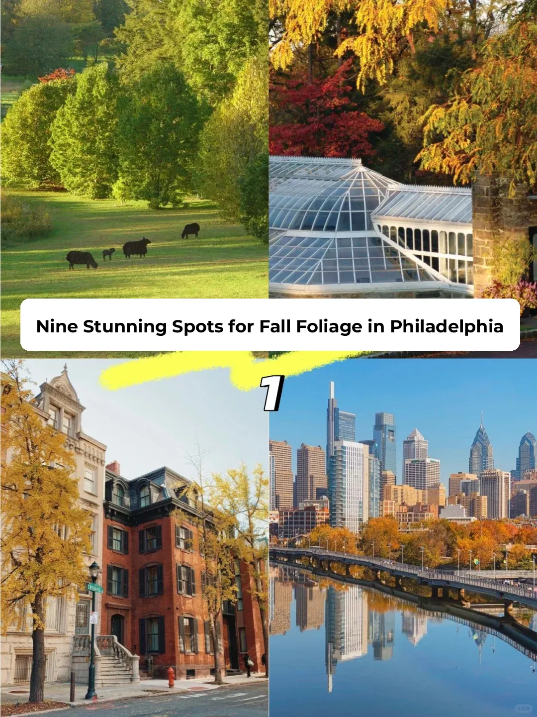 Top 9 Spots to Admire Fall Foliage in Philadelphia (Part 1)