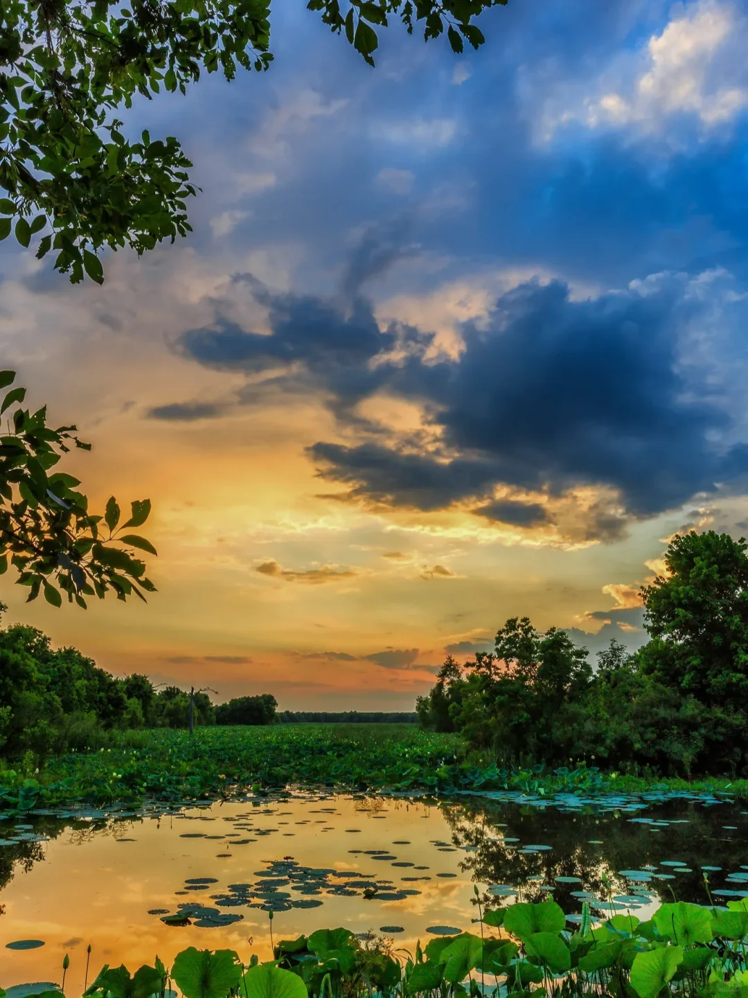 "Houston🌇｜Your Ultimate Weekend Adventure☀️ Guide in North America🥾"