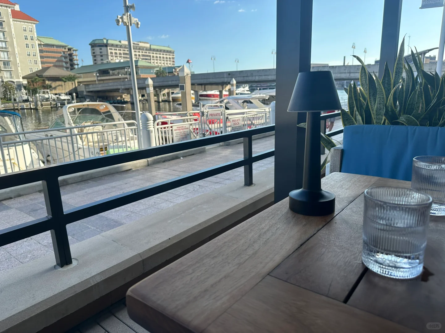 Dining at Tampa Riverwalk - Anchor and Brine