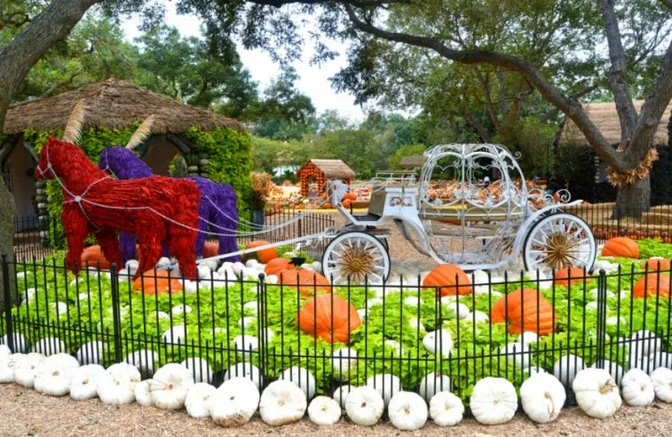 Exciting Weekend Events in Dallas: September 16-18