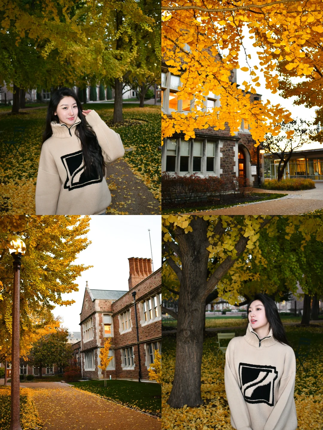 How Can Autumn in St. Louis Be So Beautiful? 📚📖🍂🧺