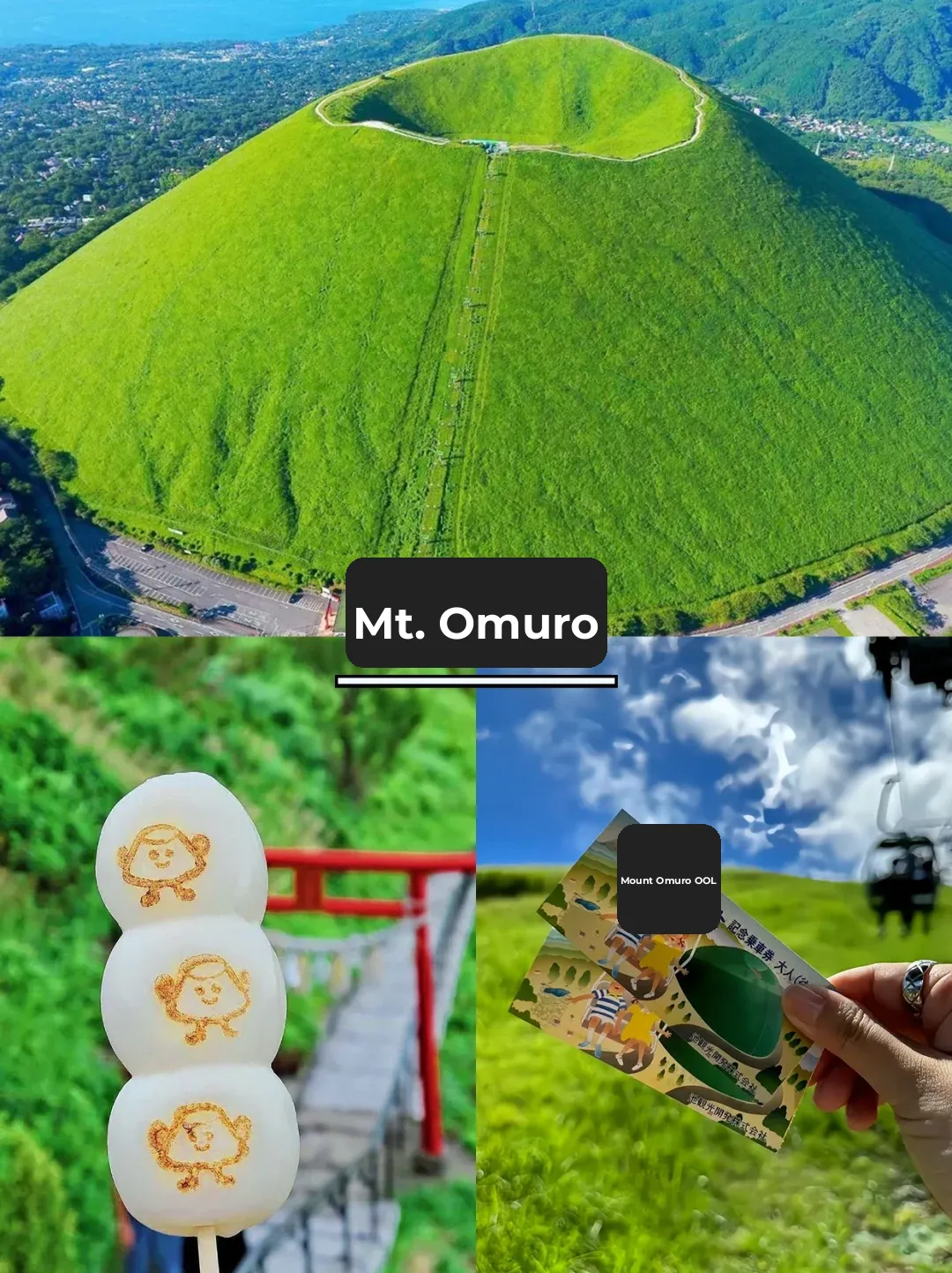 Japan's Izu 💚 Master Izu's Must-Do's in a Snap!