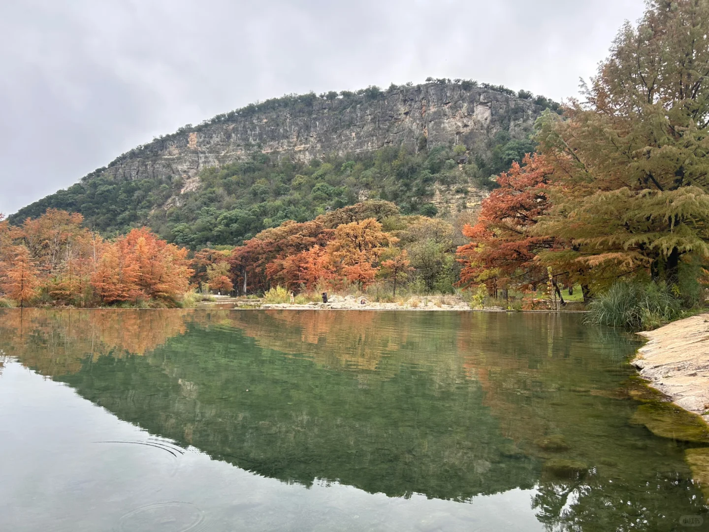 Take Your Dog to See the Fall Foliage Near San Antonio 🍁