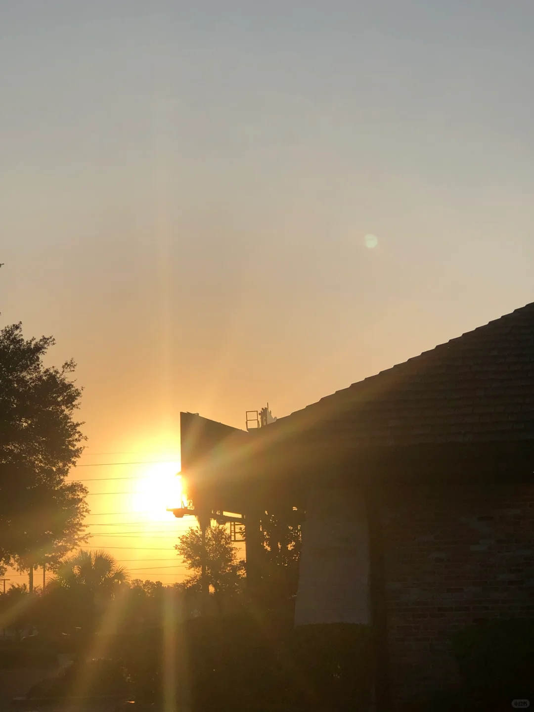 Florida is Definitely Worth a Visit