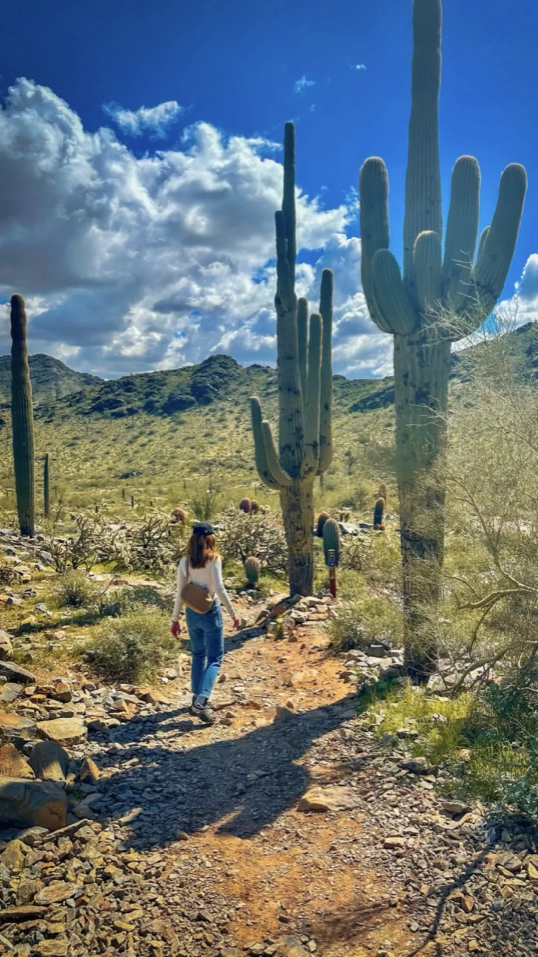 Activities in Phoenix, Arizona