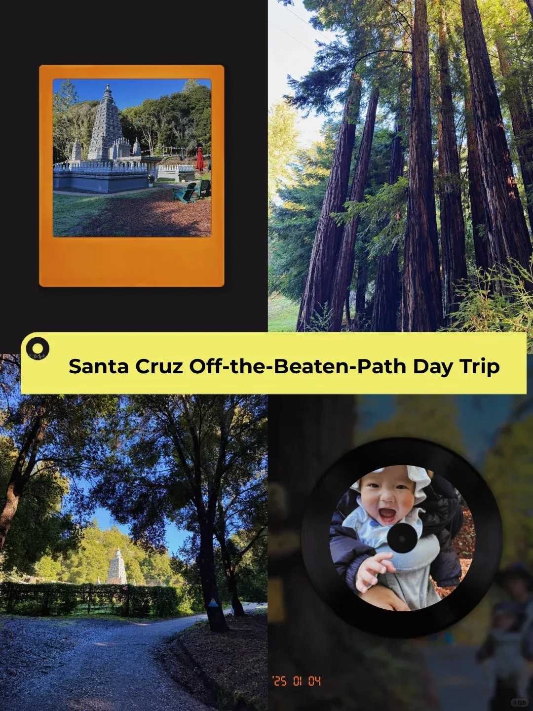 A Chill One-Day Trip to Santa Cruz's Hidden Gems