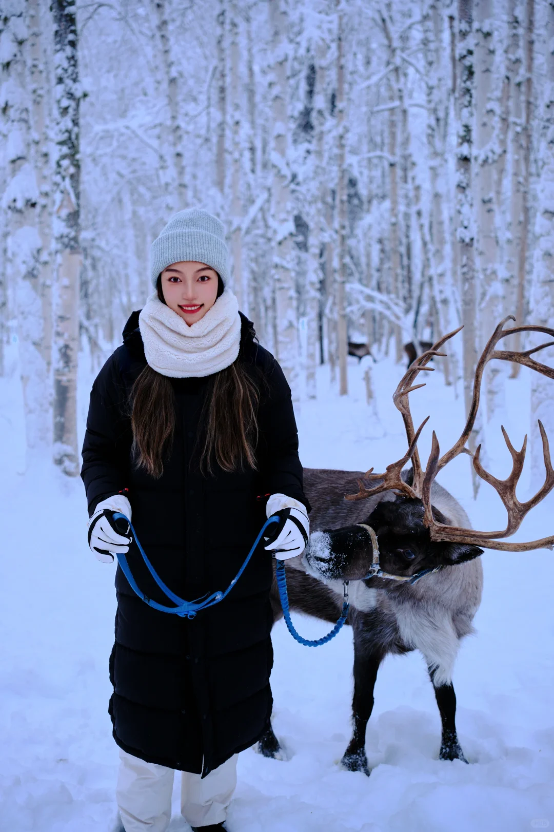 Alaska Travel Guide Part 2 ✨ Exclusive Fairbanks Must-Dos