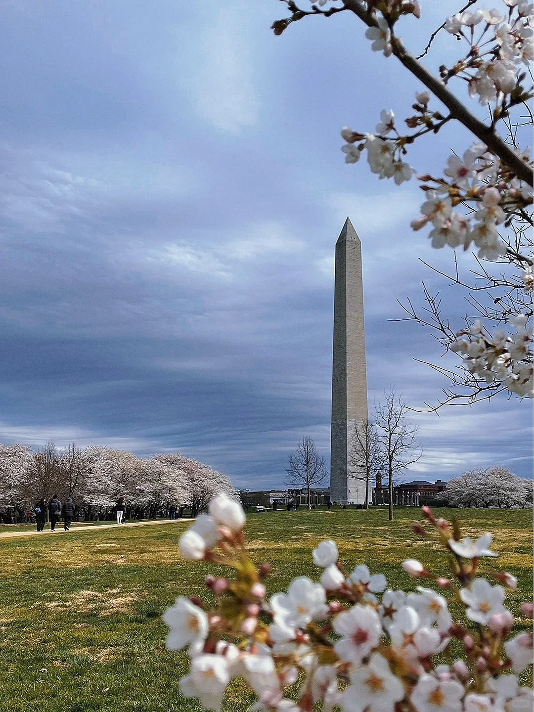 Washington, D.C. | Ultimate 3-Day Travel Guide