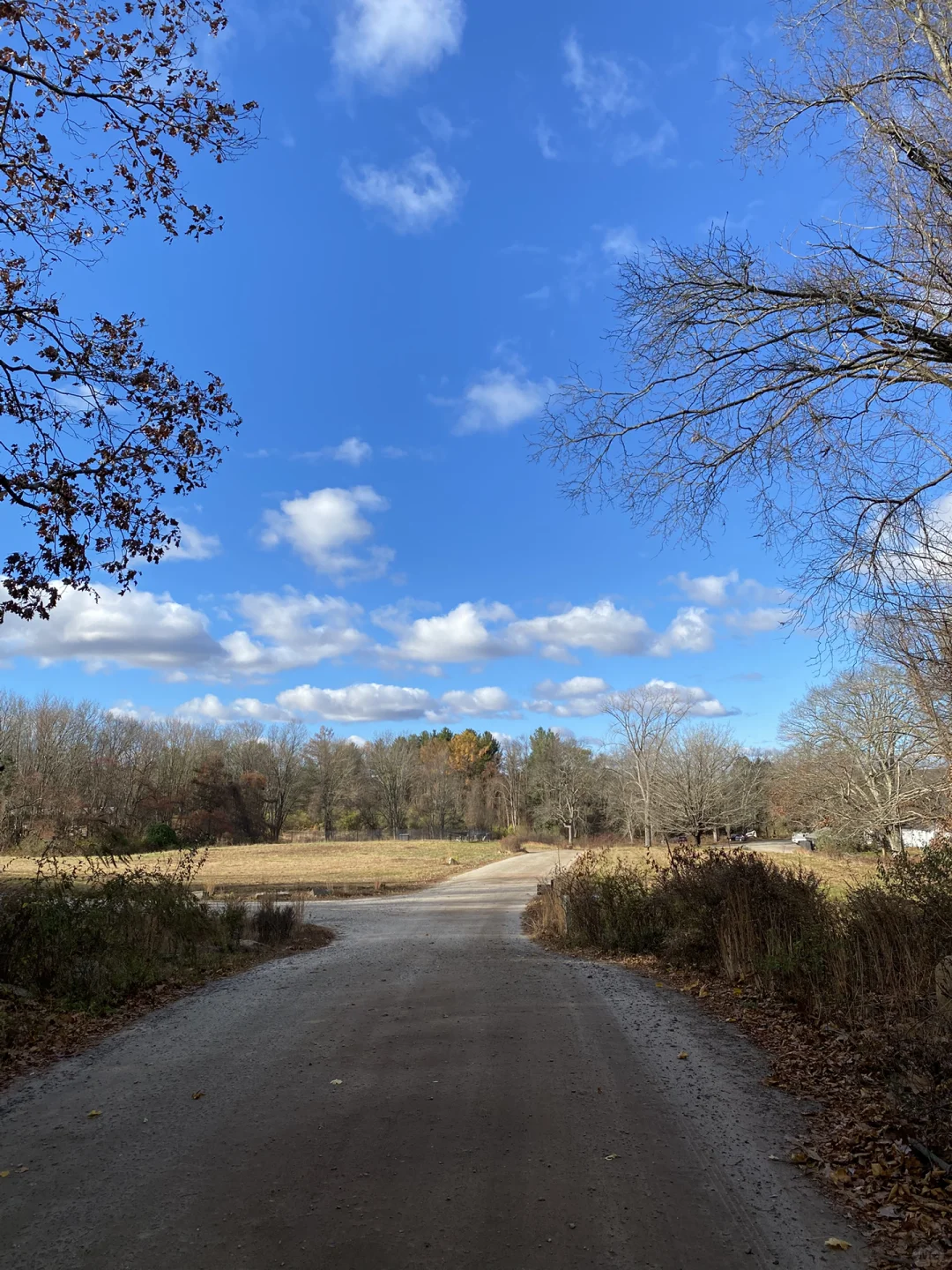 Mini Vlog｜Long Weekend Getaway Around New York