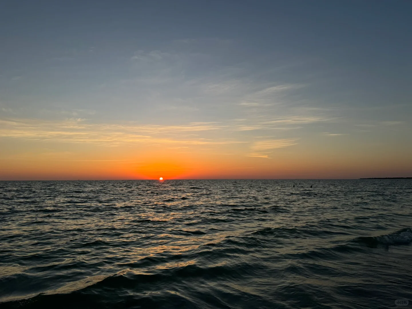 Naples-FL: The Enchanted Island Town 🏝️