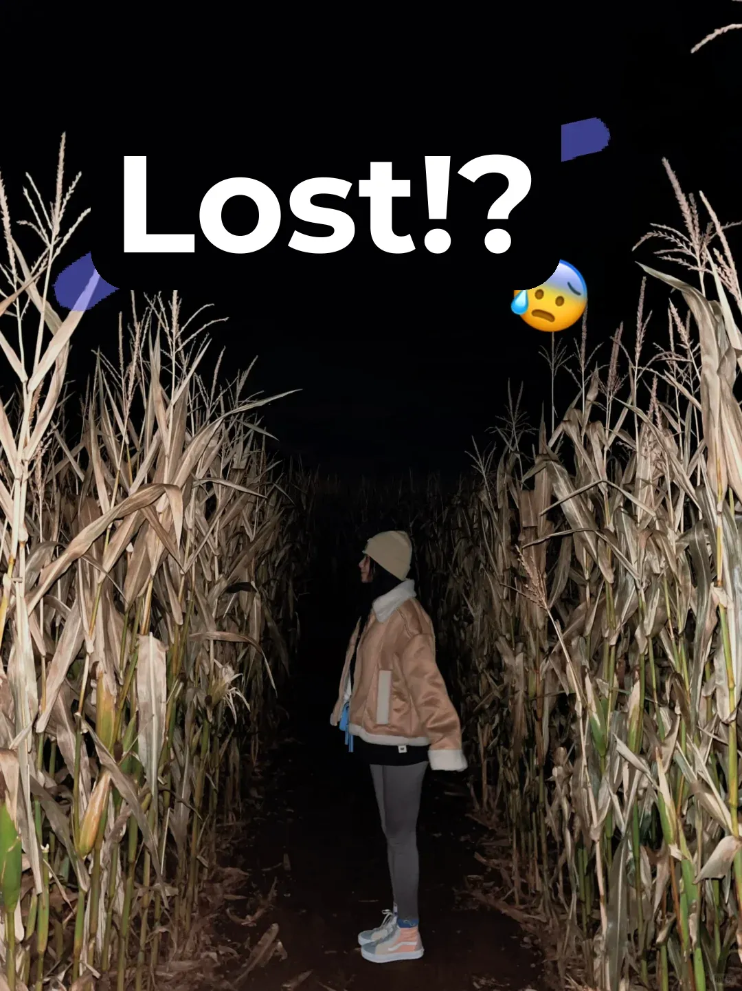 Halloween Corn Maze Adventures Near Chicago 🌽