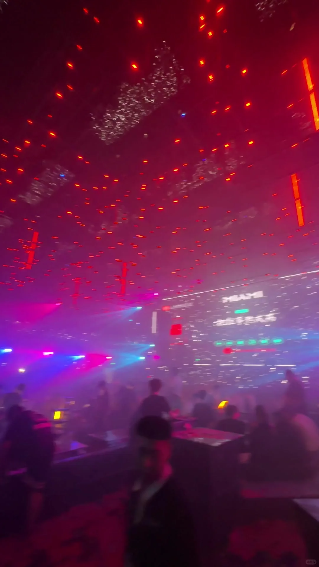 🍸 Miami Bars: Endless Fun and Enjoyment �