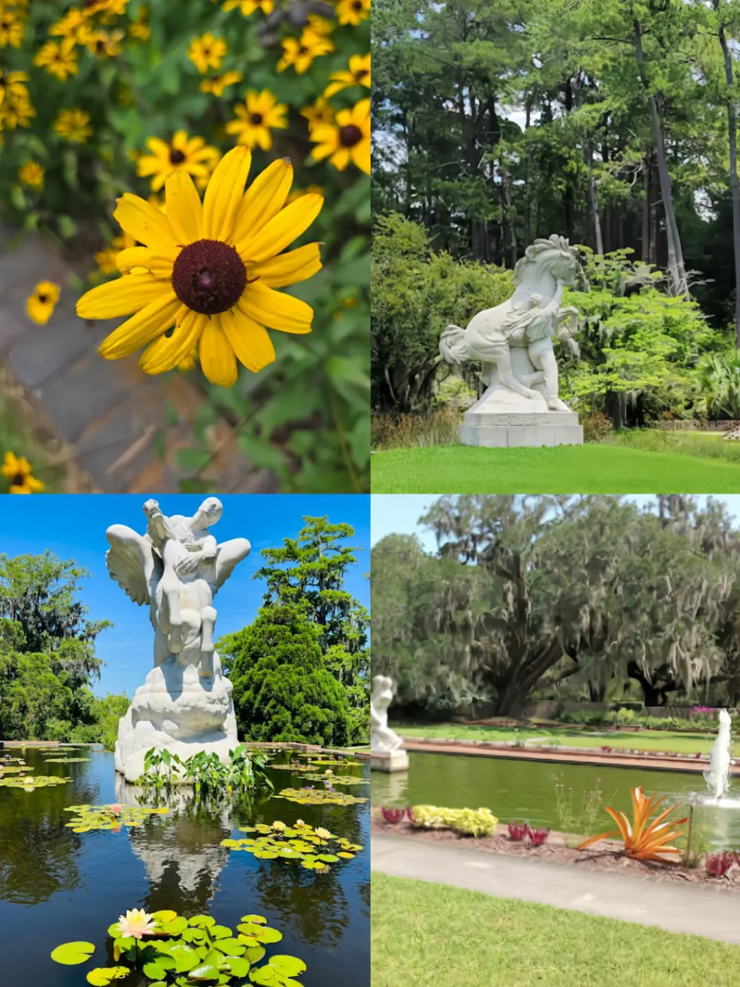 "5️⃣ Must-Visit Summer Destinations in South Carolina"