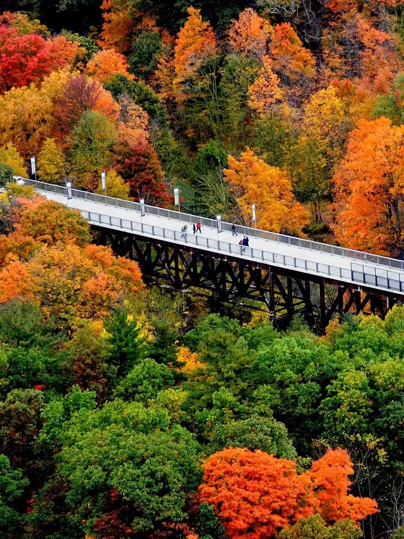 Countdown to Peak Foliage | 5 Must-Visit Autumn Spots Around Long Island