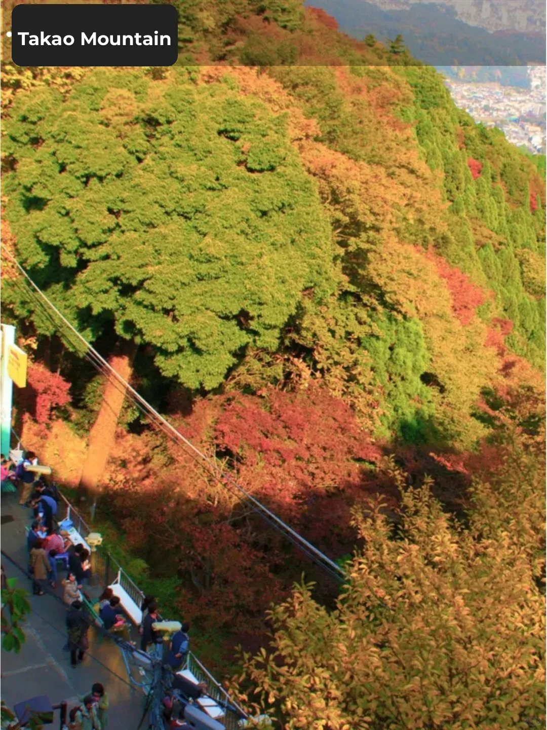 Tokyo Suburbs Hiking Guide ✅️ A Must-Have for Hiking Enthusiasts!