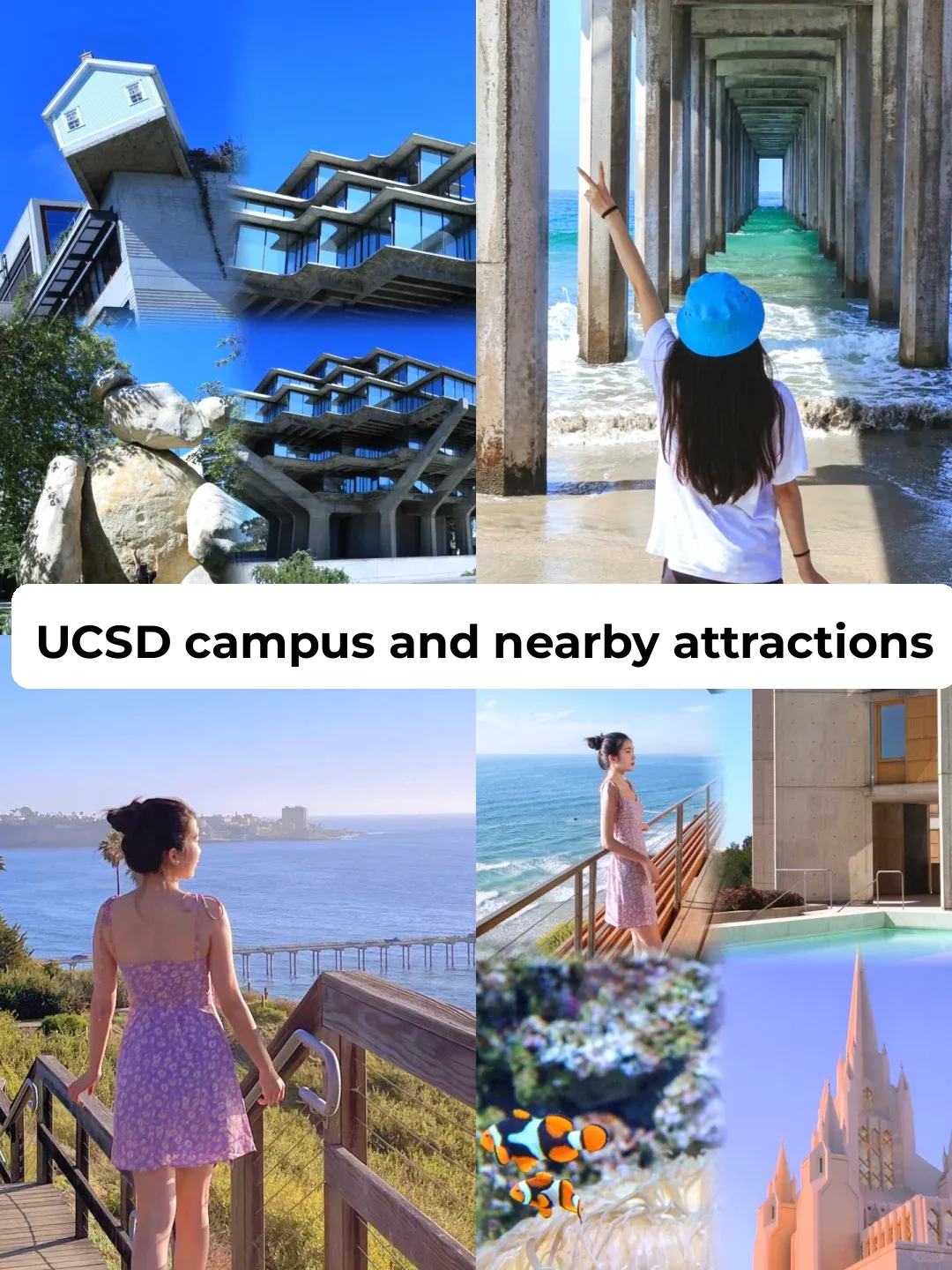 How to Explore UCSD Campus and Its Surroundings? This Guide Has You Covered 👏