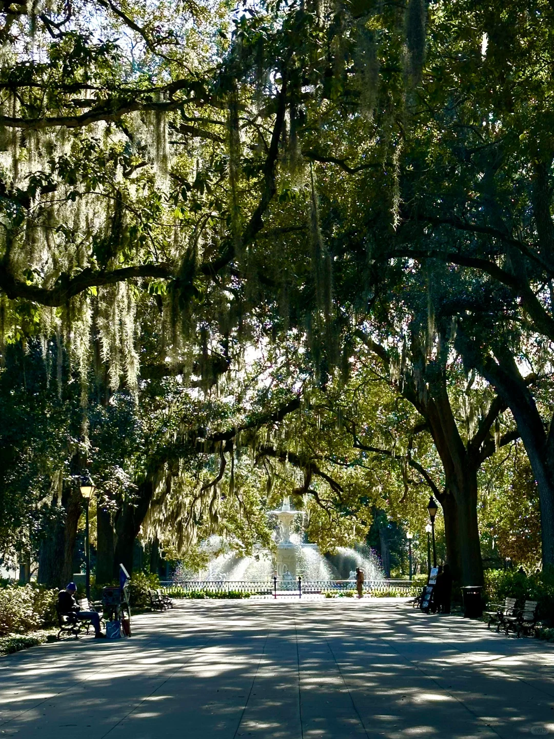 Short Holiday Getaway | Savannah: The Southern French-Inspired Town