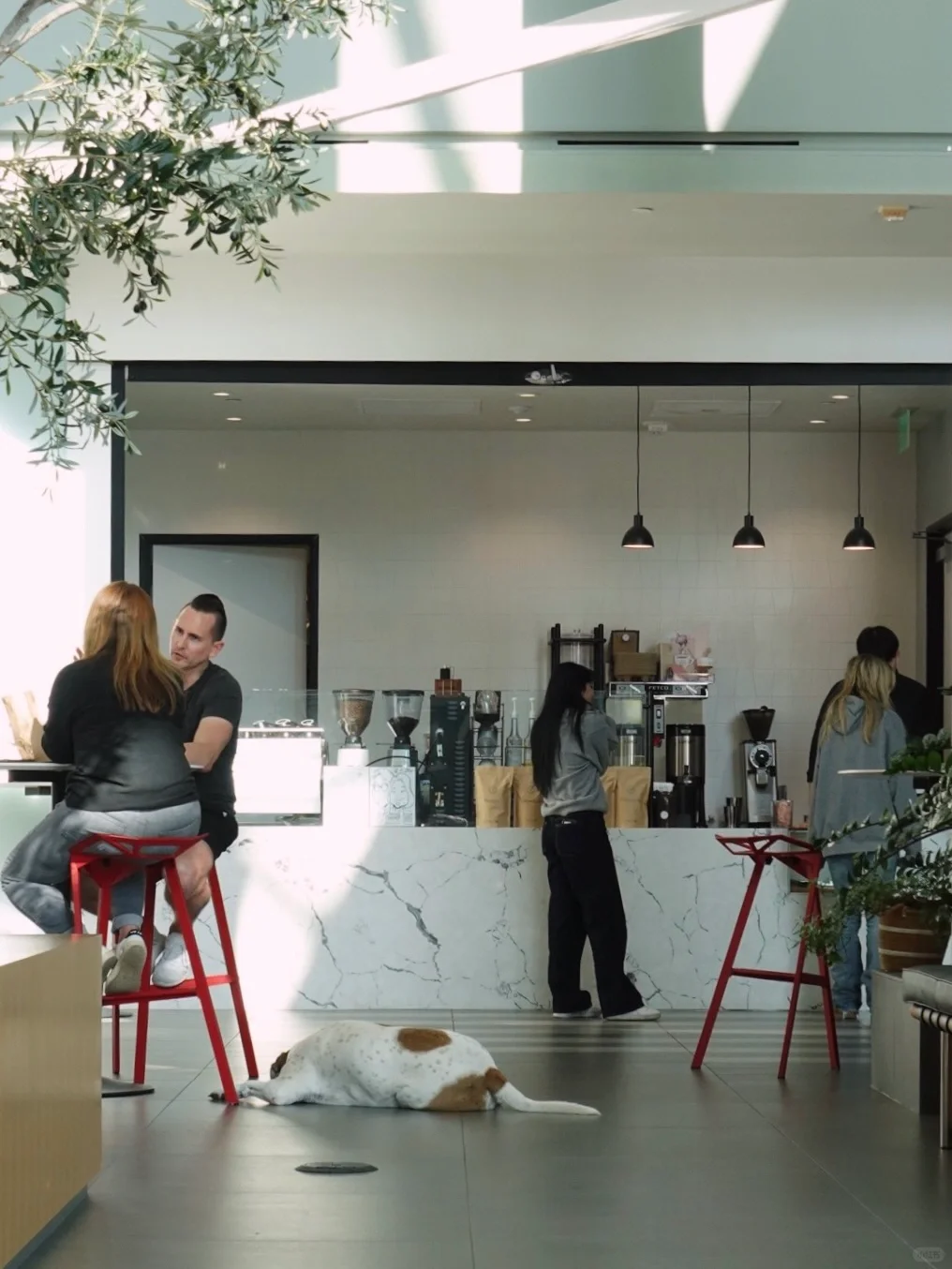 OC Coffee｜Must-See Exquisite Latte Art｜☕️ 21/100