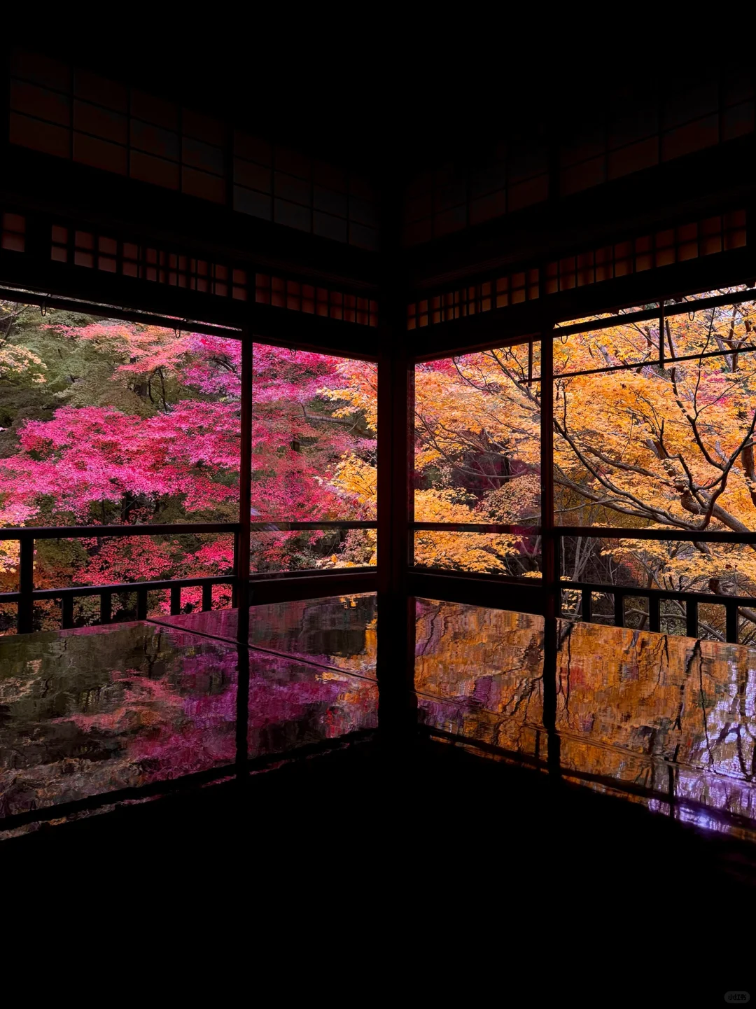 🇯🇵iPhone15 Captures Life's Live in Kyoto's Autumn 🍁