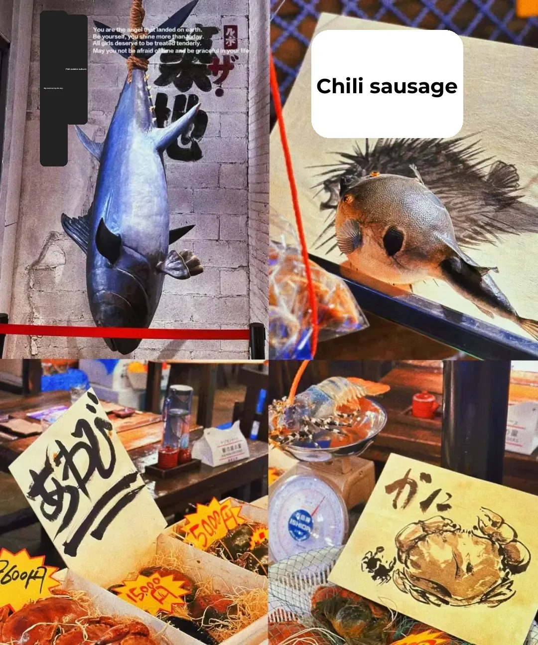 First Time in Tokyo? Day vs. Night