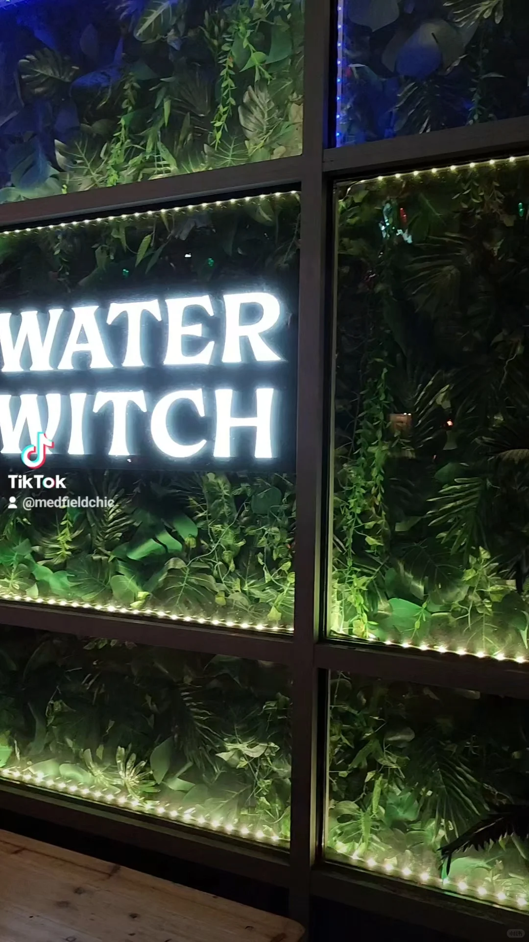 Water Witch Bar