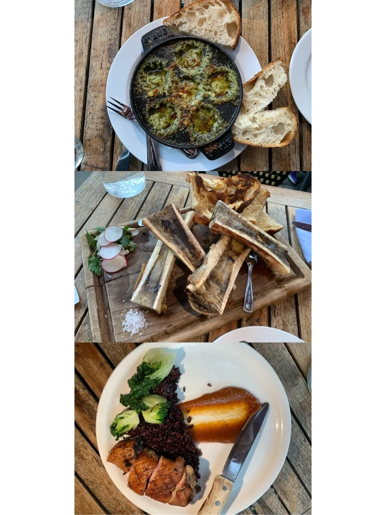 Salt Lake City Foodie Delights 😋