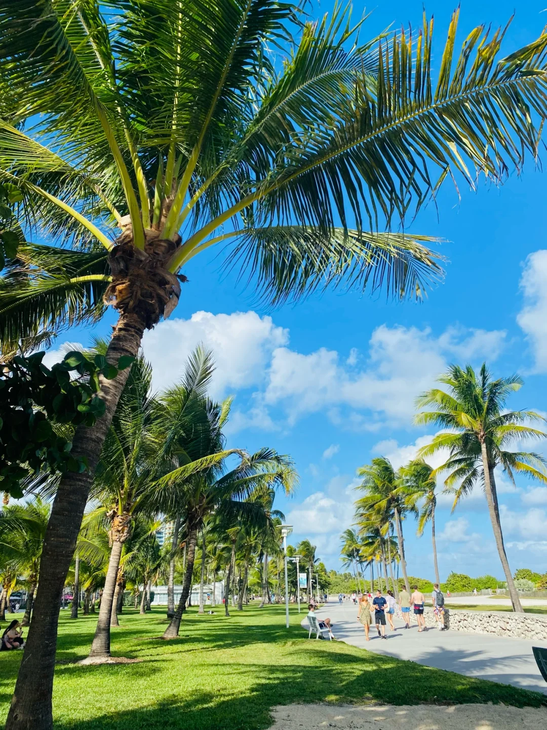 Chilling and Relaxing in Miami's South Beach